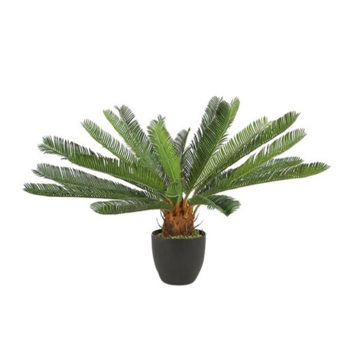 Kunstplant Cycas H 72 cm