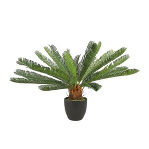 Kunstplant Cycas H 72 cm