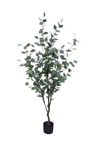 Kunstplant Eucalyptus H 150 cm