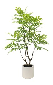 Kunstplant Fluweelboom H 155 cm