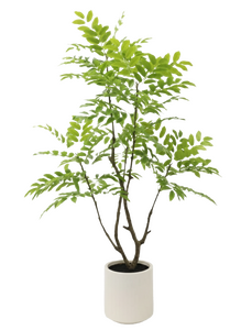 Kunstplant Fluweelboom - H 155 cm