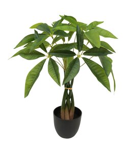 Kunstplant Geldboom H 45 cm