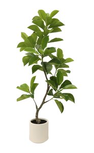 Kunstplant Magnolia H 150 cm