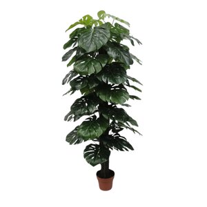 Kunstplant Monstera H 180 cm