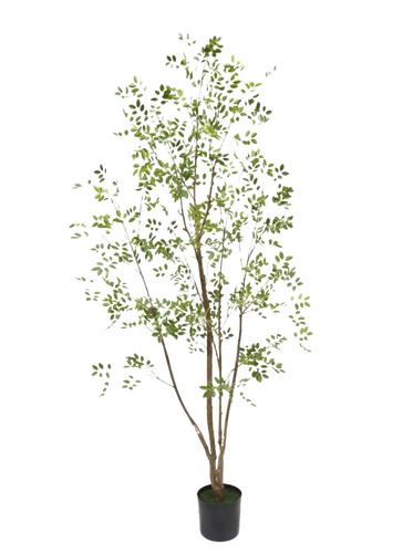 Kunstplant Murraya H 160 cm