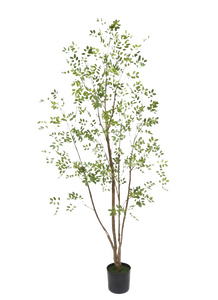 Kunstplant Murraya - H 160 cm