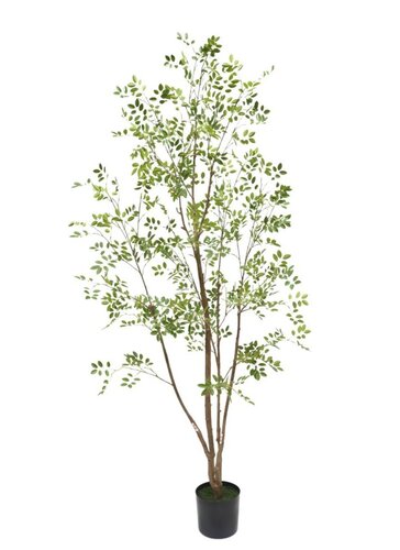 Kunstplant Murraya H 210 cm