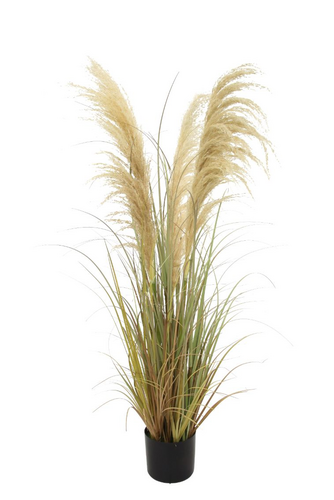 Kunstplant Pampas naturel - L 122 cm