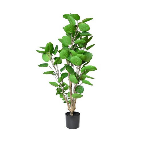 Kunstplant polyscias H 110 cm