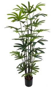 Kunstplant Rhapis Excelsa H 195 cm