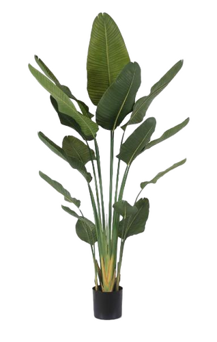 Kunstplant Strelitzia H 120 cm