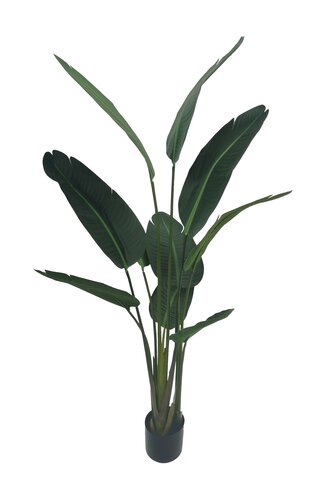 Kunstplant Strelitzia H 150 cm