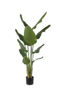 Kunstplant Strelitzia - H 160 cm