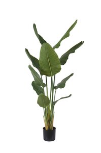 Kunstplant Strelitzia H 160 cm