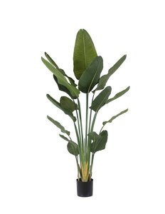 Kunstplant Strelitzia - H 180 cm