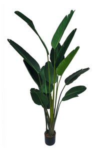 Kunstplant Strelitzia H 180 cm