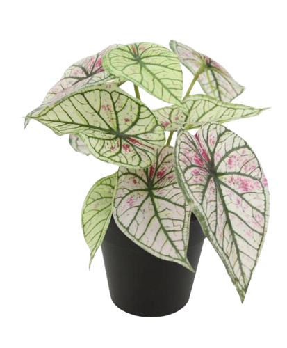 Kunstplant Syngonium H 20 cm wit