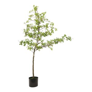 Kunstplant Terminalia H 210 cm