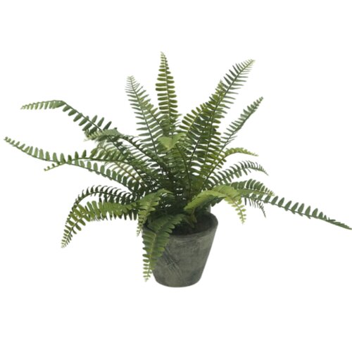 Kunstplant Varen in pot H 43 cm