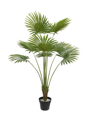 Kunstplant Waaierpalm H 130 cm