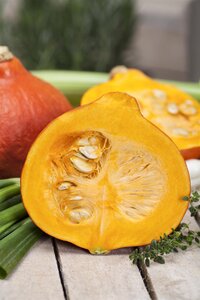 Kussen pompoen D 15 x H 16 cm camel - afbeelding 2