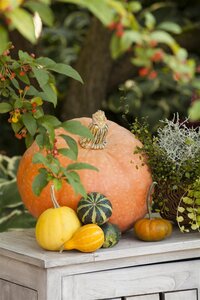 Kussen pompoen D 15 x H 16 cm offwhite - afbeelding 4