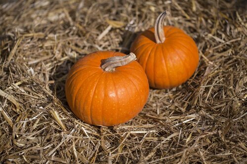 Kussen pompoen D 15 x H 16 cm offwhite - afbeelding 3