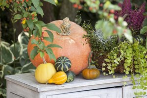 Kussen pompoen D 15 x H 16 cm offwhite - afbeelding 5