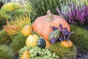 Kussen pompoen D 15 x H 16 cm offwhite - afbeelding 6