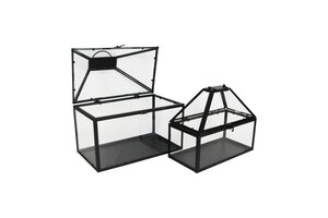 Kweekkas metaal/glas B 30 x D 15 x H 26 cm zwart - afbeelding 2