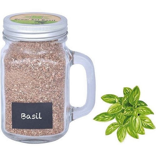 Kweekset in tuinmok basilicum