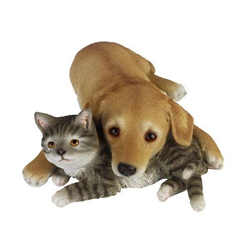 Labrador pup met kitten liggend