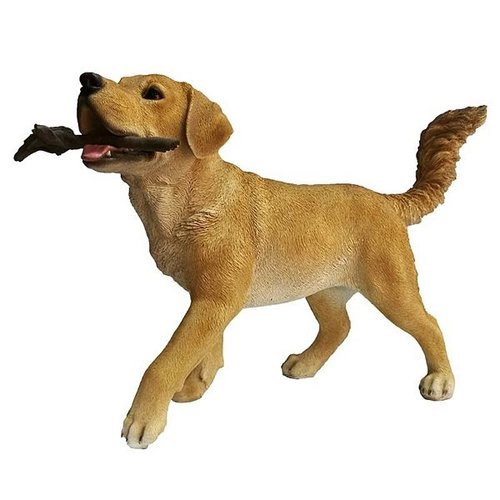 Labrador retriever met stok