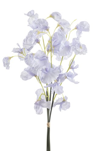 Lathyrus Bundle Tak Zijde - 48cm Lila x3
