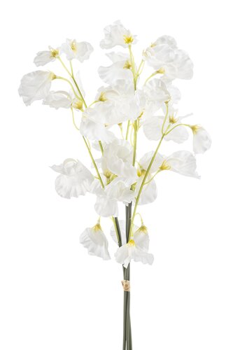 Lathyrus Bundle Tak Zijde - 48cm Wit x3