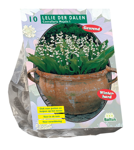 Lelietje-van-dalen - afbeelding 1
