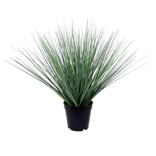 Levensechte Kunst Festuca glauca - 46cm