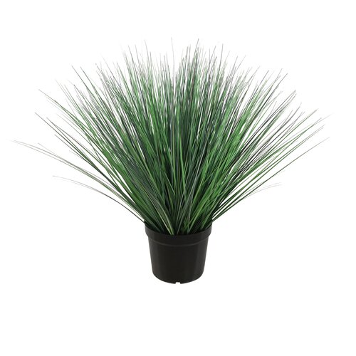 Levensechte Kunst Festuca glauca - 75cm