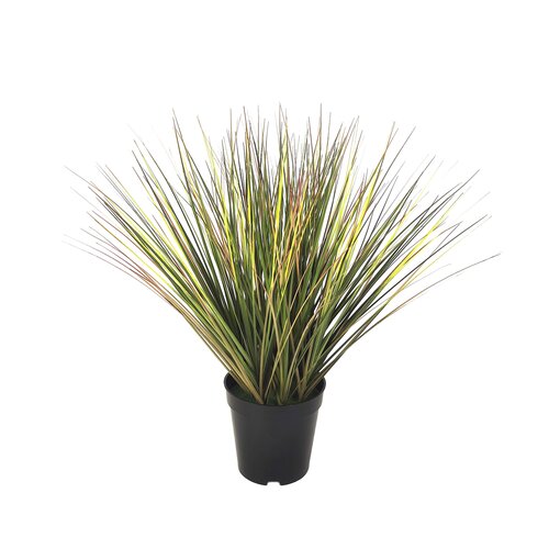 Levensechte Kunst Festuca groen - 46cm