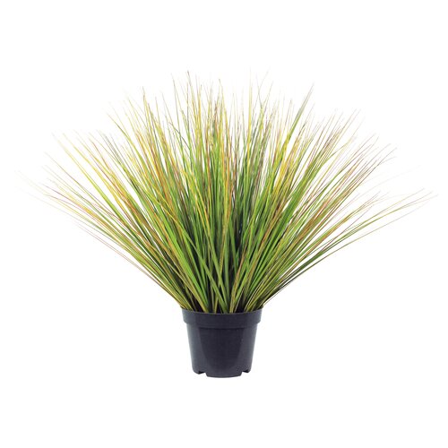 Levensechte Kunst Festuca groen - 75cm