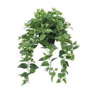Levensechte Kunst Hedera, in pot - 76cm