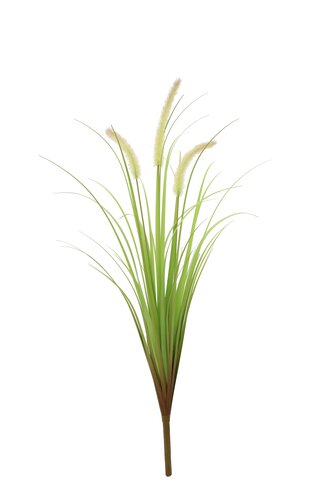 Levensechte Kunst Pluimgras Steker - H77cm Naturel
