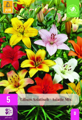 Lilium aziatisch mix 5st