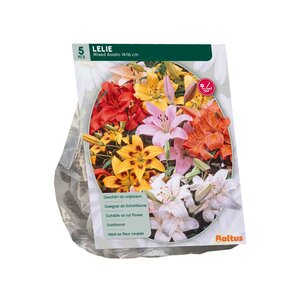 Lilium Mix per 5 - afbeelding 2