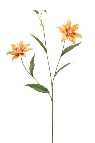 Lily Wild Tak Zijde - 70cm Geel