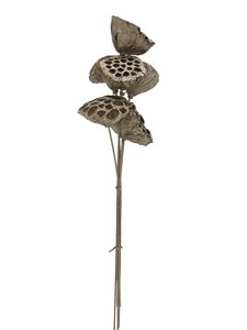 Lotusbloem 7 stuks L 64 cm champagne glitter