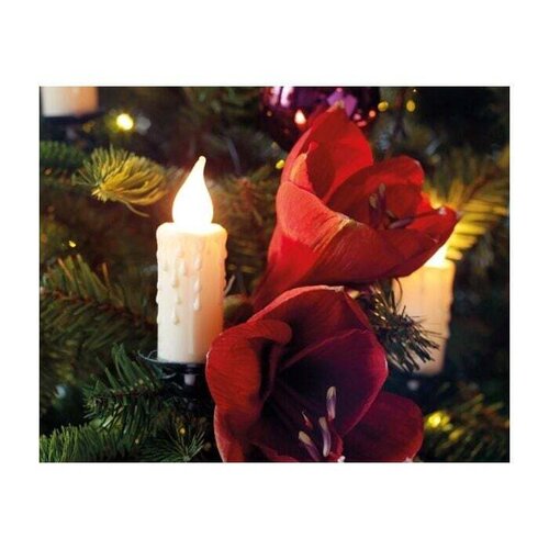 Lumineo kaarsverlichting LED 30 lampjes klassiek warm - L 1160 cm - afbeelding 3