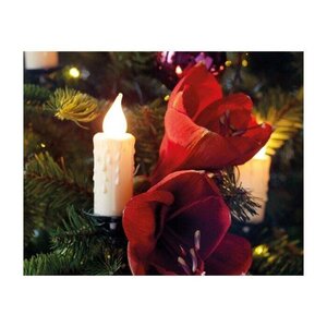 Lumineo kaarsverlichting LED 30 lampjes klassiek warm - L 1160 cm - afbeelding 3