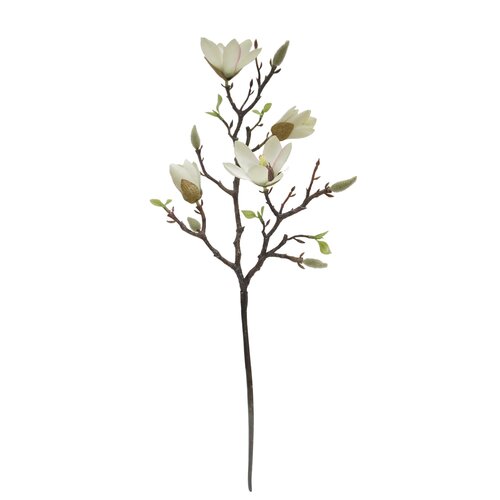 Magnolia Roze 65 cm