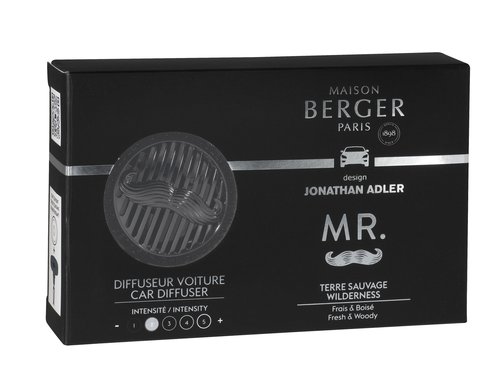 Maison Berger Paris Auto Diffuser Mr. Gun metal Terre Sauvage